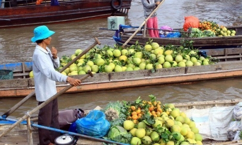 Phó Thủ tướng gặp gỡ các lãnh đạo có nhiều cống hiến cho ĐBSCL